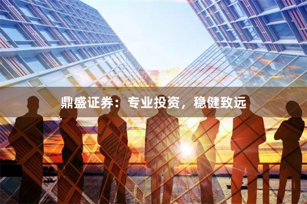 鼎盛证券：专业投资，稳健致远