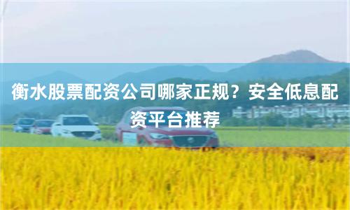 衡水股票配资公司哪家正规?安全低息配资平台推荐