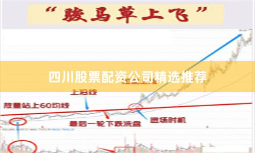 四川股票配资公司精选推荐