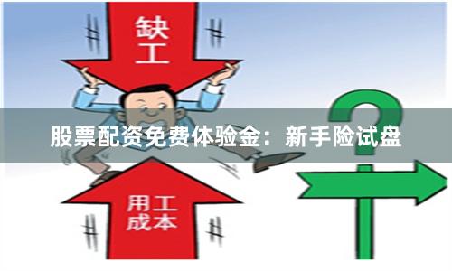 股票配资免费体验金：新手险试盘